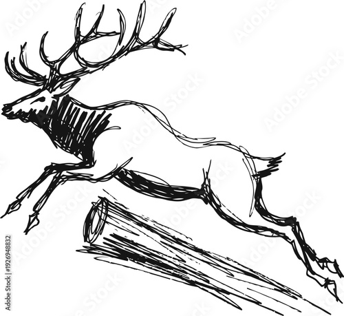 Sketch of a running deer jumping over a log in dynamic motion black ink drawing