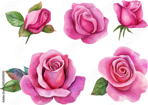 Wallpaper Mural set of pink roses isolated Torontodigital.ca