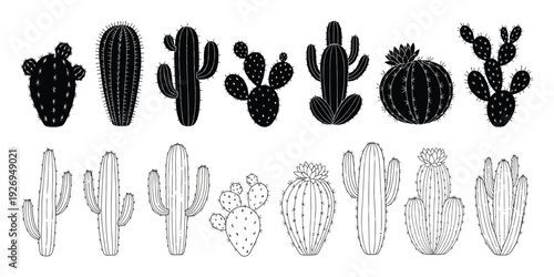 Cactus Silhouette and Outline Vector Illustration Set