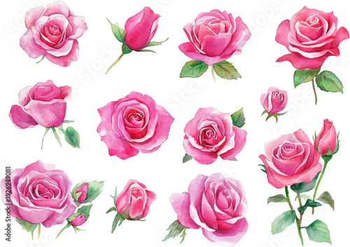 Wallpaper Mural seamless pattern with pink roses Torontodigital.ca