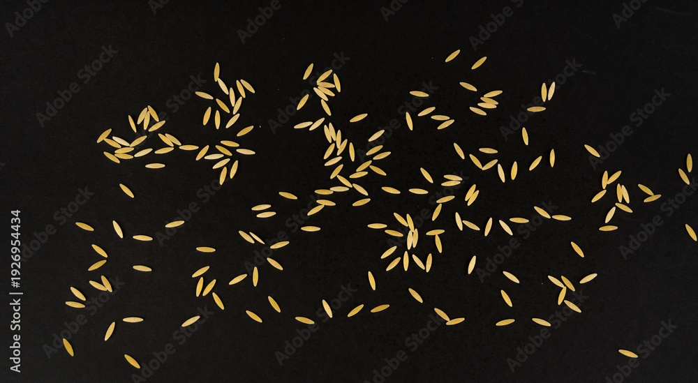 Fototapeta premium Raw orzo pasta, risoni or kritharaki pile
