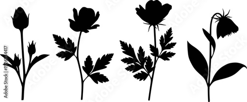 Collection of Black Silhouette Flower Stems with Buds and Leaves White Background