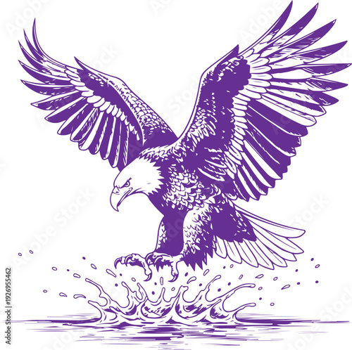 A majestic bald eagle in mid-flight, swooping down towards the water's surface. Vector, illustration