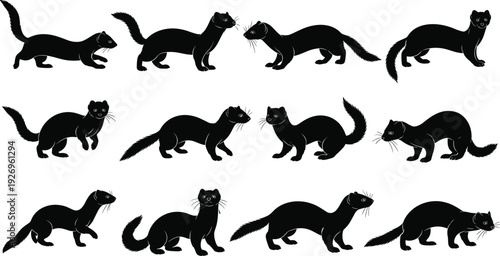 Ferret silhouette collection set, black mustelid animal poses isolated on white background, wildlife pet vector illustration bundle