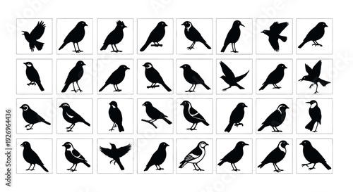 Collection of black bird silhouettes in various poses and flying positions on white background