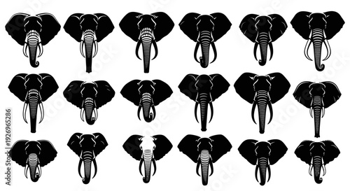 Collection of black and white elephant heads in various orientations and expressions on plain background