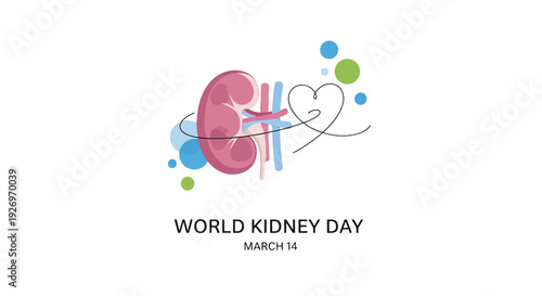 Illustration of Kidney for World Kidney Day.