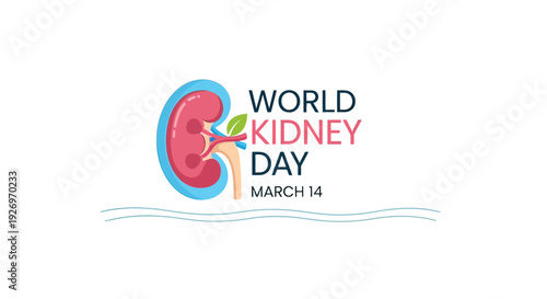 Kidney Illustration for World Kidney Day 4.