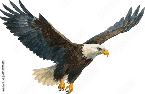 Vector watercolor realistic illustration of a Bald eagle flying