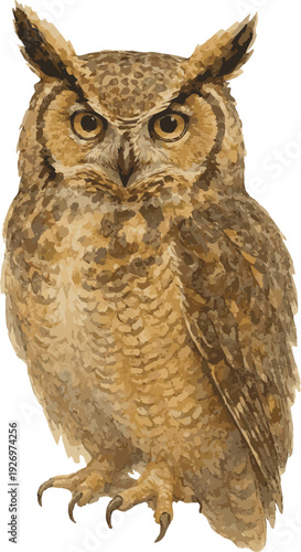 Vector watercolor realistic illustration of a great horned owl