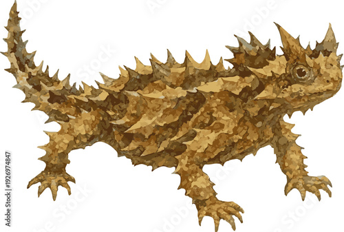 Vector watercolor illustration of a Thorny devil lizard