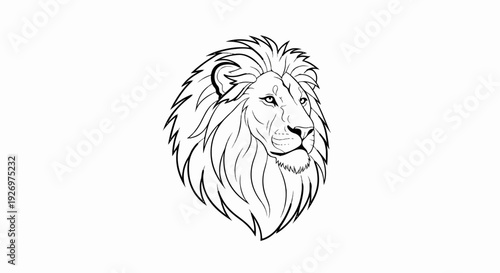 Bold lion head sketch with flowing mane and intense gaze