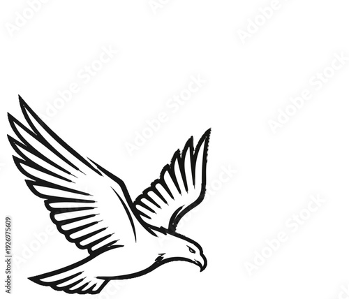 Stylized black outline of a bird of prey in flight, wings spread wide