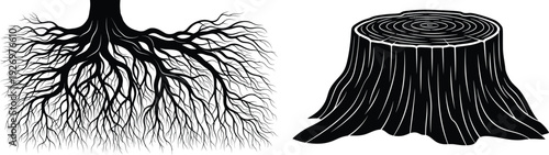 Tree stump and root system illustration