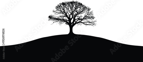 A lone tree on a hill with a white background