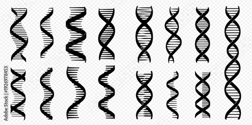 Set of hand-drawn DNA helix structures, genetic code, and biology icons for science and medicine.