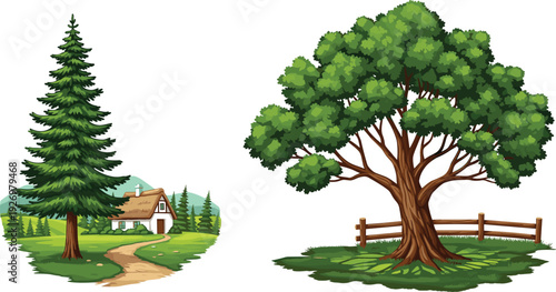 Countryside landscape illustration featuring evergreen pine tree, large oak tree with wooden fence, rural cottage path, and lush green meadow nature scene vector