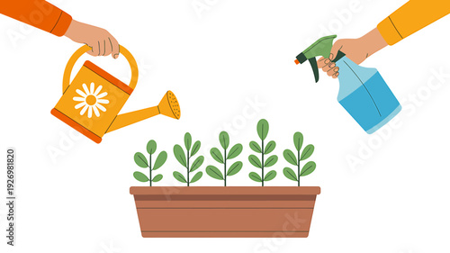 Hands watering and spraying plants in a brown planter box with green leaves