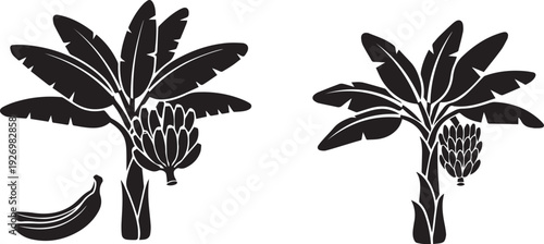Banana tree with banana vector illustration 