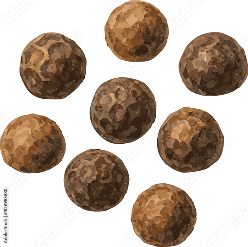Vector watercolor illustration of a whole pepper spice