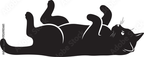 Black cat lying on its back with a contented expression and a playful pose.