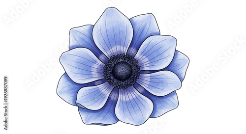 Elegant blue delphinium flower with soft petals and intricate center details isolated on transparent background, Vector