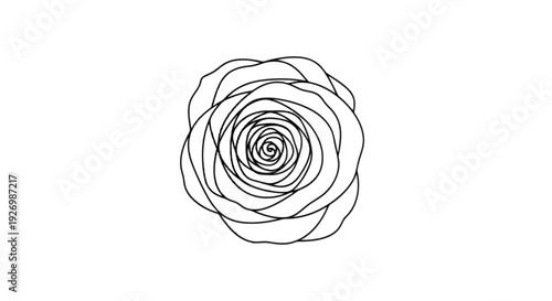 Elegant sketch of a minimalist line-drawn rose with intricate petal layers isolated on transparent background, Vector