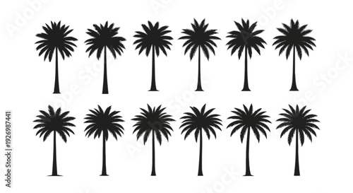 A neat arrangement of palm trees in a row against a plain background isolated on transparent background, Vector