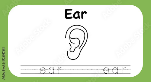 Ear tracing worksheet for kids learning