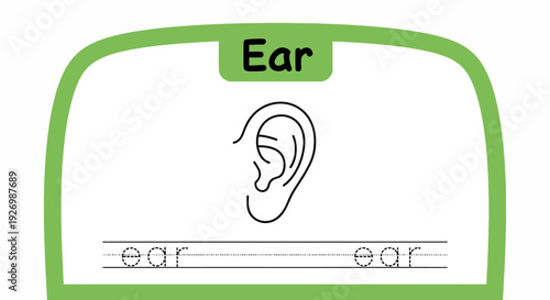 Ear tracing worksheet for kids learning
