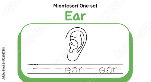 Ear tracing worksheet for kids, Montessori learning