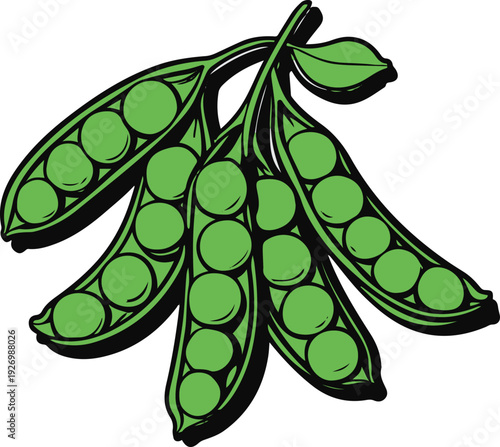 Minimalist frozen green peas cluster vector sticker, bold black thick clean outline, pure white background, isolated object 2