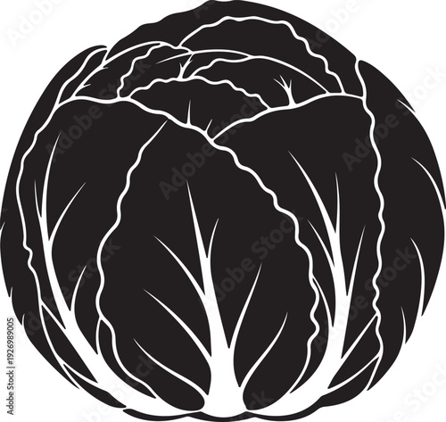 radicchio silhouette