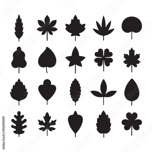 Leaf Vector Set Botanical Illustration Collection.
