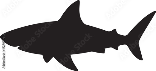 Shark silhouette ocean predator marine vector icon