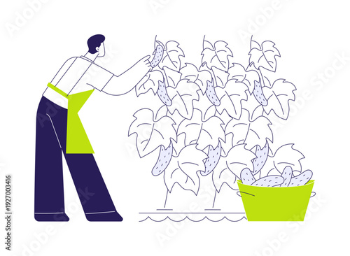 Hydroponic cucumber production abstract concept vector illustration.