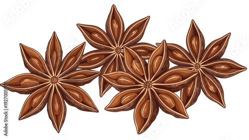 Detailed illustration of several whole star anise spice pods used for cooking, baking, and herbal medicine themes.