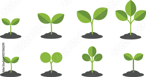 Green plant seedling growth stages set young sprouts in soil isolated vector illustration nature ecology gardening education concept