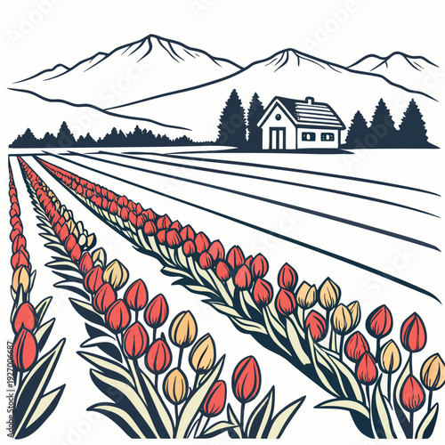 A farm field with rows of tulips and a house