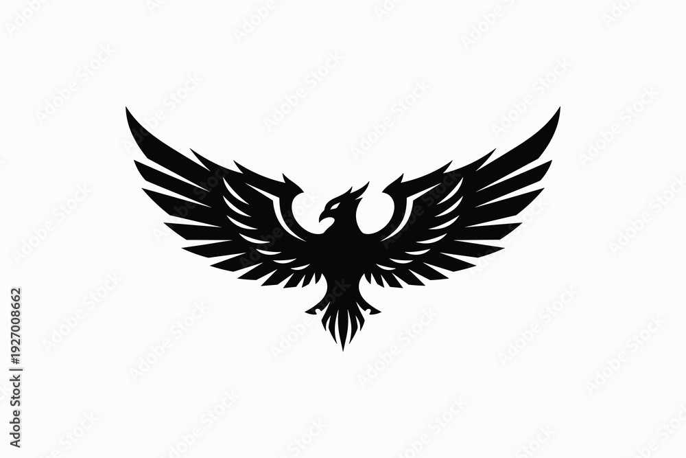 Obraz premium Adobe Illustrator Artwork