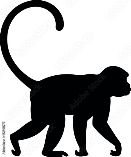 Silhouette of a Walking Monkey with Curved Tail Isolated on White Background