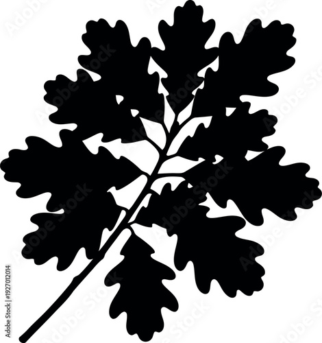 Black Silhouette of Oak Leaf Isolated on White Background for Autumn and Nature Designs