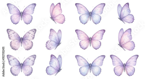 A charming watercolor collection of pastel butterflies, featuring delicate lavender wings, soft pink gradients, gentle veining, and airy symmetrical poses