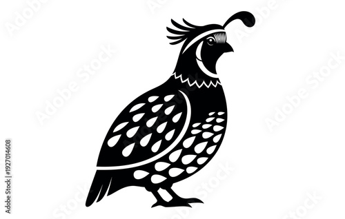 Black and white illustration of a quail bird with distinctive feathers and crest on pure
