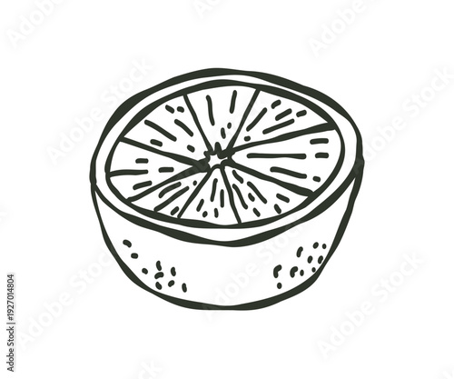 Whimsical hand drawn slice fresh orange fruit. Doodle natural healthy fresh food.