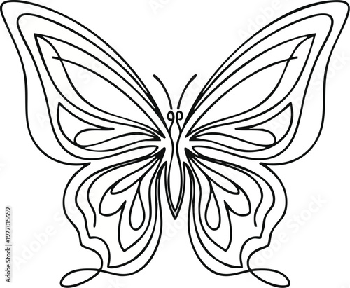 A delicate Hand drawn butterfly with intricate wings, a beautiful illustration of nature's artistry