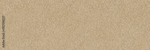 Light brown matt fabric material background. Beige skin tone luxury surface texture.