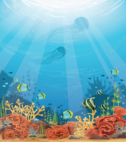 Underwater vector illustration. Seascape image with colorful coral reef, fishes and silhouette of jellyfish. Wild marine life.