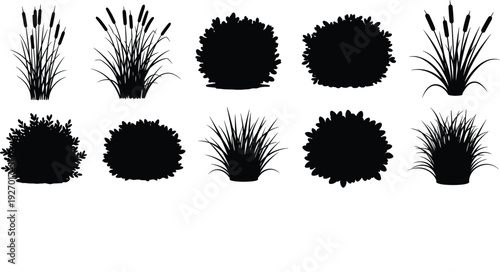 Bush and reed silhouettes collection, round shrubs and wild grass plants isolated on white background, botanical flat vector illustration