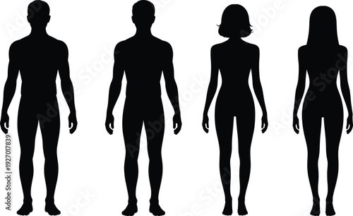 Human, body, silhouettes, male, female, anatomy, front, view, standing, proportion, people, figures, vector, illustration, black, isolated, white, background, comparison, concept